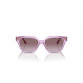 V2HD0BAD25D1A1761EC17380EB7ACC394B3R4800117P2